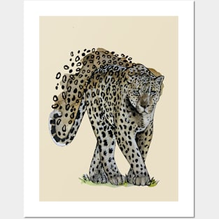 Walking leopard Posters and Art